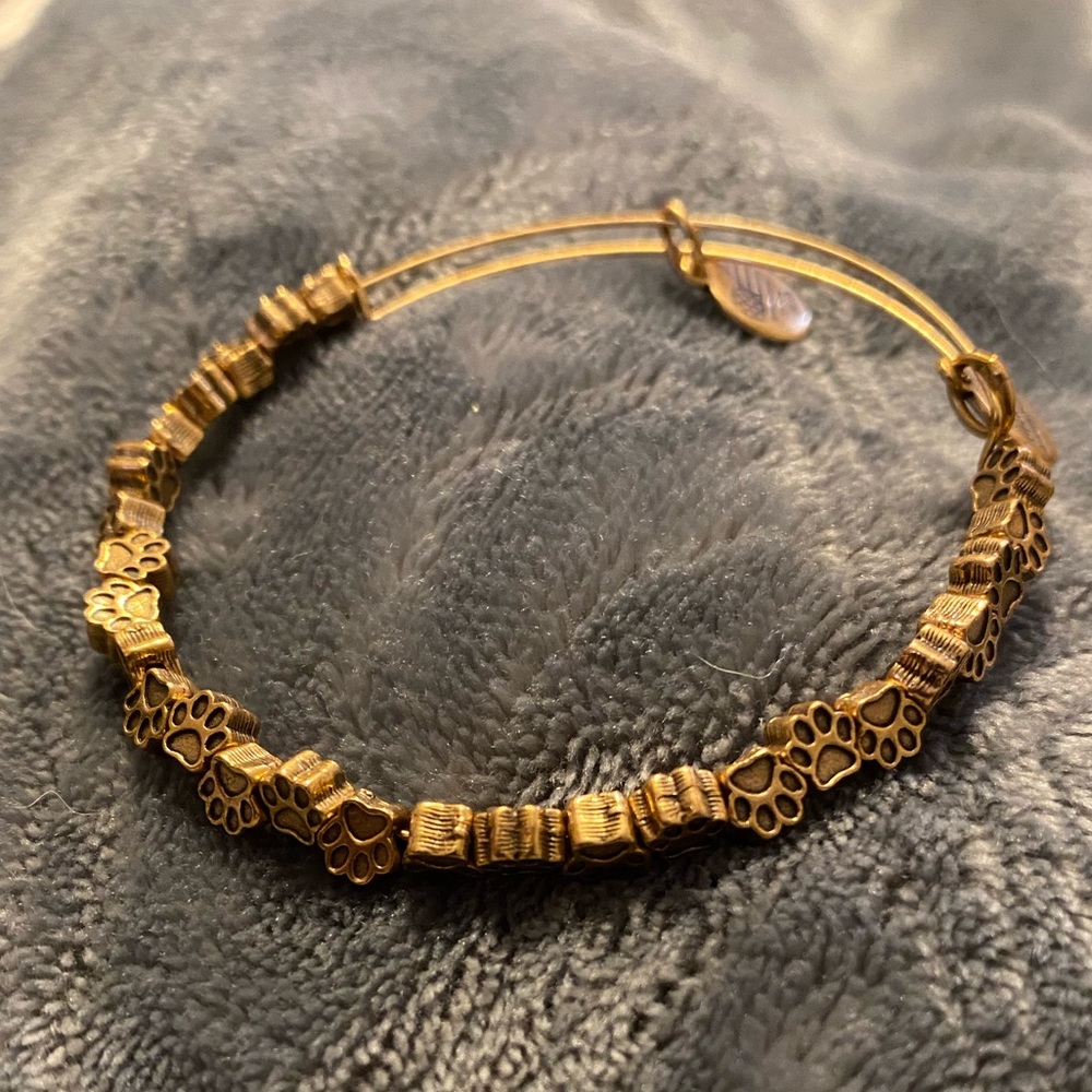 Alex and Ani rafaelian gold paw print bracelet